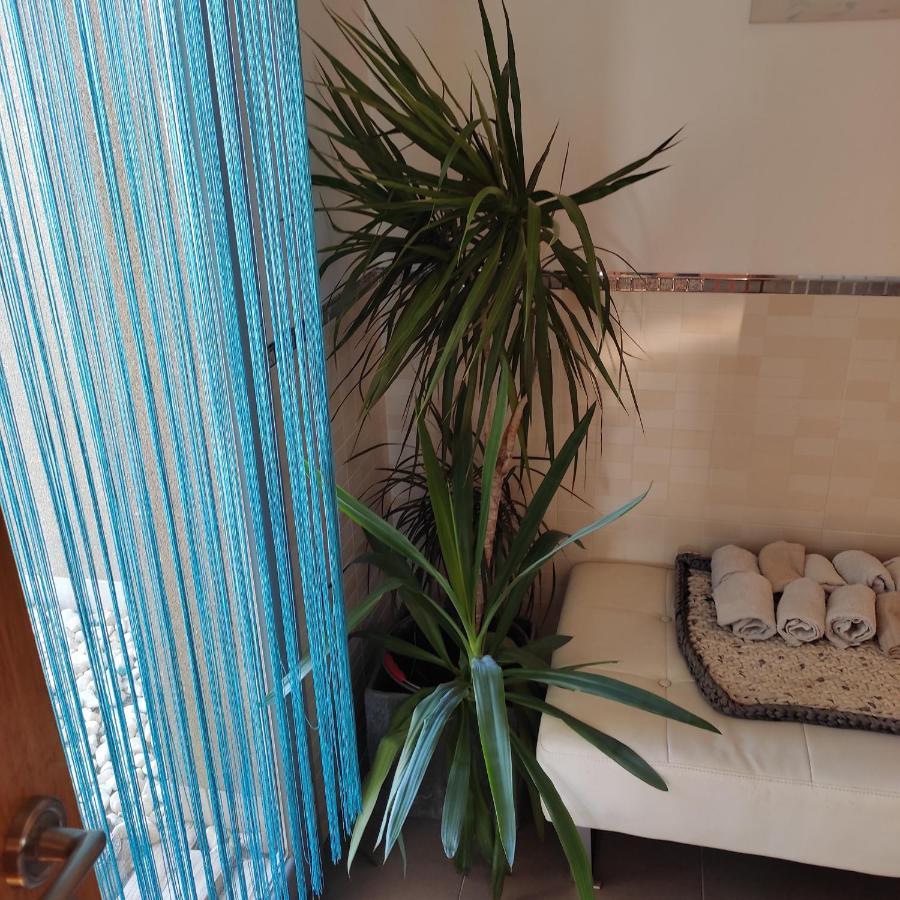 Apartment Atico Rural Alcarraz